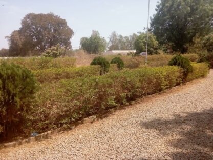 Oasis du Sahel Burkina Faso
